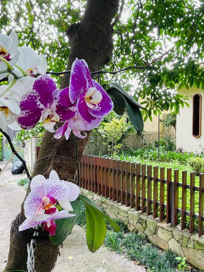 Hospedagem domiciliar Sergio Gomes A Casa Que Hospeda São Paulo