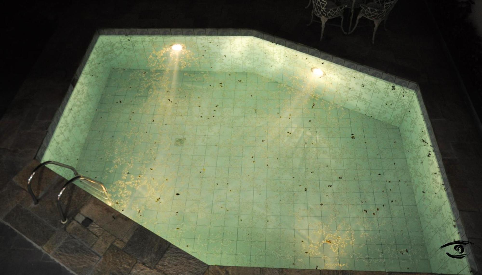 Sergio Gomes A Casa Que Hospeda Hospedagem domiciliar